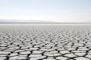 Geçtiğimiz haftalarda Uluslararası Doğa Koruma Birliği (IUCN) tarafından hazırlanan bilimsel