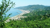 Doğu Karadeniz Kalkınma Ajansı (DOKA), bölgede turizmde farklı alternatiflerin oluşturulmasına yönelik hazırlanan projeler kapsamında, “Mavi Rota” kurma çalışmalarını uygulamaya koyuyor. Doğal güzellikleri ve sunduğu tarihi, kültürel ve sportif aktiviteleriyle yerli ve yabancı turistlerin ilgi odağı olan Doğu Karadeniz, her yıl […]