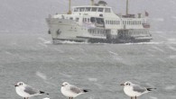 Meteoroloji Genel Müdürlüğünden yapılan açıklamaya göre, şiddetli kuzeyli rüzgarlarla gerçekleşecek karla karışık yağmur ve kar yağışının salı ve çarşamba günü Anadolu Yakası’nda kuvvetli olarak devam edeceği belirtildi. Açıklamada, çarşamba günü akşam saatlerinden itibaren yağışın tekrar karla karışık yağmur ve yer […]