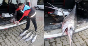 Büyüğü 1.5 metre, yavru olduğu sanılan diğer dördü 70 ila