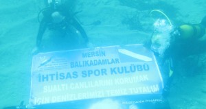 Bozyazı Kaymakamı Mustafa Erkayıran, Türkiye Sualtı Sporları Federasyonu Mersin İl