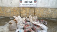 Edirne İl Jandarma Komutanlığı ekipleri, Enez-Kacaali köyü sınırları içerisinde bir kamyonette yaptığı aramada yasa dışı yollarla yurt dışına çıkarılmaya çalışılan, 2008 yılında Resmi Gazetede yayımlanan Ticari Amaçlı Su Ürünleri Avcılığını Düzenleyen Tebliğe göre avlanması yasak olan, ilaç ve kozmetik sanayinde […]