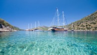 Muğla kıyıları Çevre ve Şehircilik Bakanlığı ile Muğla Valiliği tarafından kurulan MUÇEV şirketi tarafından kiraya verilirken, koylar da Orman ve Su İşleri Bakanlığı tarafından kiraya çıkarılıyor.  Muğla’da “Göcek Koyları” diye anılan Bedri Rahmi (Taşyaka), Akbük, Göbün ve Küçük Sarsala koyları, […]