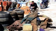 Bodrum Belediyesi tarafından ‘Denize en çok mavi yakışır’ solganıyla 5 hafta önce başlatılan kampanya kapsamında, 4 mavi bayrağın bulunduğu Torba Koyu’nda deniz dibi temizliği yapıldı. Belediyenin 14 dalgıcının katıldığı temizliğe TURMEPA üyeleri ile balıkçılar da tekneleri ile destek verdi. Dalgıçların […]