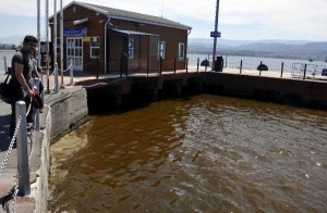İzmit Körfezi’nin Marina, Derince ve Körfez İlçe sahillerinde yaşanan renk