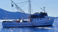Akdeniz Üniversitesi Sualtı Uygulama ve Araştırma Merkezi Müdürü Doç. Dr. Gökoğlu “Akdeniz ve Ege’de mart ayında tutulan balıkların gonadları yumurta dolu. Av yasakları bölgede 1 ya da 15 Mart’a çekilmeli” dedi. Akdeniz Üniversitesi Sualtı Uygulama ve Araştırma Merkezi Müdürü Doç. […]