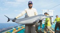 KARACHI: Described as an intelligent and inquisitive marine mammal, dolphins are loved all over the world for their playful behaviour. Sadly, this beautiful creature is facing a battle for its survival in our sea waters. A recent study conducted by […]