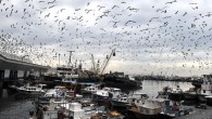 İstanbul 2. İdare Mahkemesi, eski İstanbul’un kalbi “tarihi yarımada”yı ilgilendiren 1/1000 ölçekli Koruma Amaçlı Uygulama planın iptali istemiyle açılan davada, 61 konu başlığından 37’sine yürütmeyi durdurma, 7’sine ise kısmen yürütmeyi durdurma karar verdi. 24 Nisan 2015’de verilen yürütmeyi durdurma kararının […]