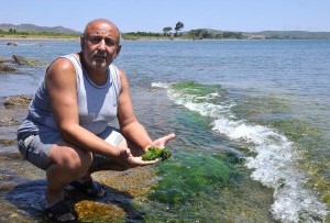 Datça’da 30 yıldır amatör olarak dalgıçlık yapan kimya mühendisi 59