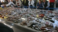 Bilim insanlarının araştırmasına göre, asit oranı gittikçe artan okyanuslarda bazı planktonlar artık yaşayamayacak bazıları ise evrim geçirecek. Türkiye’nin denizlerinden avladığı toplam balık miktarı son 10 yılda yüzde 30 düştü. Türkiye İstatistik Kurumu’nun açıkladığı 2014 yılı su ürünleri istatistiklerine göre, Türkiye’nin […]