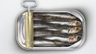 When you’re distrustful of something, you might say that it’s “fishy.” Now, writes Popular Science’s Alexandra Ossola, that term may take on a new meaning — new research shows that the smell of fish not only makes people more suspicious, […]