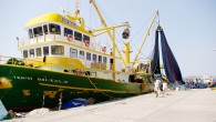 Mersin Balıkçılar Yardımlaşma ve Dayanışma Derneği Başkan Yardımcısı Adnan Polat, her geçen yıl balık miktarında azalma olduğunu söyledi.Her geçen sezonun bir öncekini aratır hale geldiğinin altını çizen Polat, “Giderek kaybolacak bir meslek potansiyeline sahibiz. Balıkçılık mesleği önümüzdeki 5-10 yıl içerisinde […]