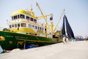 Mersin Balıkçılar Yardımlaşma ve Dayanışma Derneği Başkan Yardımcısı Adnan Polat,
