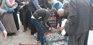 Tokat’ta 30 yıllık balıkçı Halil Üneş, ihtiyaç sahibi kişilere ücretsiz