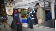 Sinop’un Türkeli ilçesinde yasa dışı ve bilinçsiz avlanma yapılmaması için, balık avı denetimi yapıldı. Gıda, Tarım ve Hayvancılık İlçe Müdürü Seyithan Tekin, AA muhabirine yaptığı açıklamada, bölgede balık avı denetimlerini aralıksız gerçekleştirdiklerini bildirdi. Bu kapsamda 50 balıkçı teknesi ve iş […]