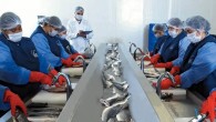 Su Ürünleri Tanıtım Grubu (STG), ABD’nin Şikago da kentinde, 15-17 Kasım 2015 tarihleri arasında düzenlenen PLMA’s Private Label Trade Show Fuarı’na katılarak Türk su ürünlerinin tanıtımını yaptı. STG, ABD’de yaptığı tanıtım çalışmalarının meyvelerini de topluyor. Türkiye’nin ABD’ye su ürünleri ihracatı […]