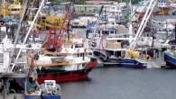 Gıda Tarım ve Hayvancılık Bakanlığı tarafından av baskısının azaltılması ve sürdürülebilir balıkçılığın sağlanması amacıyla 2013-2015 yıllarında balıkçı teknelerini azaltma programı çerçevesinde bin 11 balıkçı teknesi, 138 milyon 600 bin lira ödenerek filodan çıkarıldı. Gıda Tarım ve Hayvancılık Bakanlığından edindiği bilgilere […]