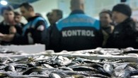 Balıkçılık Meslek Komitesi Başkanı Murat Kul, kaçak balıkçılık sorunuyla Vira Haber’e konuştu. Murat Kul, kaçak avcılığın büyük sorun teşkil ettiğini ve balıkçılar arasında ikilem çıkarmaya gebe olduğunu belirterek, bu duruma bir önlem alınması gerektiğini söyledi. Kaçak balıkçılığın tüm önlemlere rağmen […]