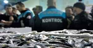Balıkçılık Meslek Komitesi Başkanı Murat Kul, kaçak balıkçılık sorunuyla Vira