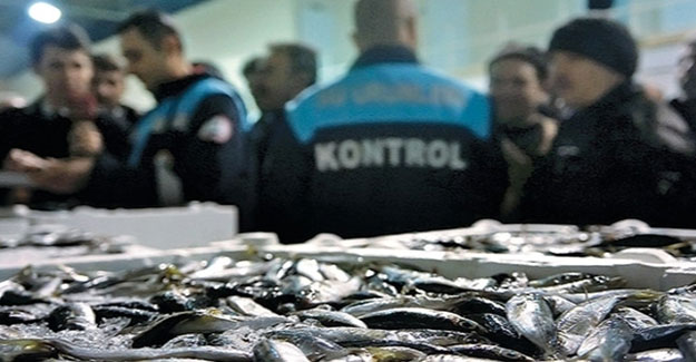 Balıkçılık Meslek Komitesi Başkanı Murat Kul, kaçak balıkçılık sorunuyla Vira
