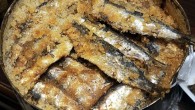 Romalılar’ın Sardea sine sardinae adını verdikleri sardalya o dönemde de fiyatı makul, halkın rahatlıkla tükettiği ikinci sınıf bir balık olarak karşımıza çıkıyor ve tuzlanıp, preslenerek iç bölgelere gönderiliyor. Alexandre Dumas, ise “Mon Dictionnaire de Cuisine” adlı sözlüğünde, Pisanelli’den alıntı yaparak, […]
