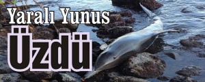Ağzından kan gelen Yunus’u kurtarma çabaları sonuç vermedi. Yunus’un neden