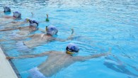 Türkiye Sualtı Sporları Federasyonu (TSSF) tarafından düzenlenen Sualtı Hokeyi Federasyon Kupası, 18-20 Aralık’ta, Kocaeli Gençlik Hizmetleri ve Spor İl Müdürlüğü Gebze Olimpik Yüzme Havuzu’nda yapılacak. TSSF’den yapılan açıklamaya göre, aynı zamanda milli takım seçmeleri niteliği taşıyan kupada, 17 erkek ve […]