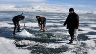 Hava sıcaklıklarının 20 dereceye kadar düştüğü Kars’ta, yarısı Kars, yarısı da Ardahan sınırları içerisinde olan Çıldır Gölü tamamen buz tuttu. İHA’nın haberine göre 10 metre derinliğinde ayna gibi olan Çıldır Gölü’nde 15 metre aralıklarla buzu delen balıkçılar, deldikleri yerlerden ip […]