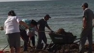 Meksika’nın güneyindeki Yutacan yarımadasında yer alan Mayan Rivera gibi ünlü tatil beldeleri, temmuz ayından bu yana yosun istilasıyla karşı karşıya. 5 BİN İŞÇİ TEMİZLEYEMEYİNCE DEVREYE ASKER GİRDİ Yosunların temizlenmesi için şu ana kadar 5 bin işçinin seferber edilmesine ve 9 […]