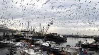 Kumkapı Balıkçılar Çarşısı olarak bilinen ve geçtiğimiz yıl yıkılan çarşının yerine yeni bir balıkçılar çarşısı yapılması için düğmeye basıldı. Avrasya Tüp Geçidi projesinin bağlantı yolları üzerinde bulunduğu için geçtiğimiz yıl yıkılan ve Kumkapı olarak bilinen “Yenikapı Balıkçılar Çarşısı” yeniden inşa […]