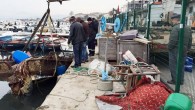 Mudanya Merkez Su Ürünleri Kooperatifi Başkanı Haluk Kozan, liman içerisinde bağlı bulunan teknelerin zaman içerisinde sahipleri tarafından kontrol edilmeyince su alarak battığını ifade etti. Kozan, batan bu teknelerin hem kirliliğe sebep olduğunu, hem de diğer tekneler için tehlike arz ettiğini […]