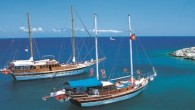 Deniz Turizminin sürdürülebilirliğini sağlamanın tek şartı, eşsiz koylarımızın yapılaşmaya kapatılarak, koruma ile ilgili mevzuatın tam olarak uygulanmasıdır. Deniz turizminin tarihi çok eski yıllara uzanmaktadır. Osmanlı şairleri, “… bir çifte kürek, bir kayıkla çıkalım sadabada…” benzeri deniz gezilerinden çokça söz etmişlerdir. […]