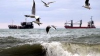 Marmara Denizi’nde etkili olan ve hızı zaman zaman 80 kilometreyi bulan karayel nedeniyle rotalarına devam edemeyen 33 gemi, 2 gündür demir attıkları Şarköy açıklarında bekliyordu. Sabah saatlerinde karayelin etkisini kaybetmesi üzerine 33 gemi demir alarak seyre çıktı.Öte yandan Tekirdağ balıkçı […]