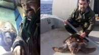 Doğal yaşam alanları Ege ve Akdeniz olan Caretta Caretta’ların Marmara’da balıkçıların ağına takılması şaşırttı. Marmara Sahilleri’nden avlanmak için açılan balıkçıların ağına Caretta Caretta takıldı. Gördükleri manzara karşısında şaşkına dönen balıkçılar, besleyip sevdikleri kaplumbağayı kısa süre sonra tekrar suya bıraktı. İkinci […]