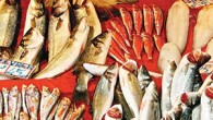 Türkiye’nin Avrupa’nın en fazla balık satan ülkesi olduğu, 2003 yılındaki 65 bin ton balık üretiminin geçen yıl 235 bin tona çıktığı açıklandı. Balıkçılık ve Su ürünleri Genel Müdürlüğü Avcılık ve Kontrol Daire Başkanı Mustafa Altuğ Atalay, Türkiye’nin Avrupa’nın en fazla […]