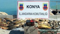 Konya’nın Beyşehir İlçesinde, yasak olmasına rağmen elektroşok yöntemiyle göl sularında avlandığı iddia edilen 2 balıkçı yakalandı. Beyşehir İlçe Jandarma Komutanlığına bağlı Beyşehir Jandarma Bot Komutanlığı ekipleri, 2015 yılının son günlerinde 2 kişinin ölümüne yol açan ve göl kıyılarında giderek yaygınlaştığı […]