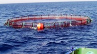 Çeşme’deki balık çiftliklerinin sorunları ile oluşan deniz kirliliği için gereken çözüm yolları masaya yatırıldı. Balık çiftliklerinin sorunları ile oluşan deniz kirliliği için gereken çözüm yollarının tartışıldığı ve Çeşme Kaymakamı Mustafa Erkayıran başkanlığında yapılan toplantıya, İzmir Deniz Ticaret Odası Başkanı Yusuf […]
