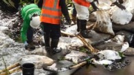 Peru’da ana borudaki sızıntı nedeniyle Amazon bölgesinin 3 bin varil ham petrolle kirlendiği bildirildi. Peru’da devlete ait Petroperu şirketi, petrol sızıntısının, Amazon’da en az yedi yerli topluluğunun su ihtiyacını karşıladığı Chiriaco ve Morona nehirlerini etkilediğini açıkladı. Ana borudaki ilk sızıntıya, […]