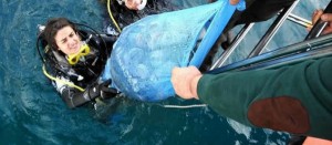 Muğla’nın Bodrum İlçesi’ne eğitim dalışı için gelen Boğaziçi Üniversitesi Sualtı