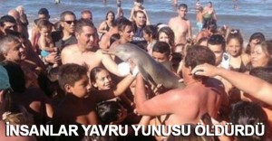 Daily Mail’in haberine göre, Arjantin’deki Santa Teresita’da bir plajda yaşanan