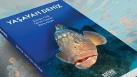 Sevgili Derin Mavi Dostları, Ekolojik olarak sürekli fakirleştiğimiz bir dönemde denizlerimizin daha fazla tanınmasına ve tanıtılmasına her zamankinden daha çok ihtiyaç vardır. Uzun yılların birikimini, Prof.Dr.Şükran Cirik, Barış Akçalı ve şahsımın editörlüğü ile her biri alanında uzman bilim insanları Bülent […]