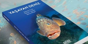 Sevgili Derin Mavi Dostları, Ekolojik olarak sürekli fakirleştiğimiz bir dönemde