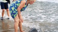 Türkiye’de caretta caretta türü deniz kaplumbağalarının önemli üreme alanlarının başında gelen İztuzu Plajı’nda 30 yıldır koruma görevi üstlenen 93 yaşındaki June Haimoff, bölgede deniz kaplumbağaların “gönüllü annesi” olarak tanınıyor. İlk kez 1975’te teknesiyle Köyceğiz ilçesindeki Ekincik Koyu’na gelen Haimoff, daha […]