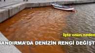 Balıkesir’in Bandırma ilçesinde denizin belirli bir bölümü binlerce deniz anası, midye ve balıklar tarafından dökülen yumurtalar nedeniyle kırmızıya büründü. Bandırma’da yaşayan balıkçı Turhan Çavdar denizdeki kızıllığın nedeninin deniz anası, midye ve balıklar tarafından dökülen havyardan kaynaklandığını belirterek, aynı olayın her […]