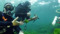 İstanbul’un kayıp adası olarak bilinen, tarihi Vordonisi’nin gün yüzüne çıkartılması için Maltepe Belediyesi ve 3 üniversite ortak çalışma yürütüyor. Sualtı araştırmacı ve arkeologlardan oluşan ekip, belediye öncülüğünde tarihi batık adanın UNESCO Dünya Kültür Mirası’na kabul edilmesini hedefliyor. Kaynak: Sabah