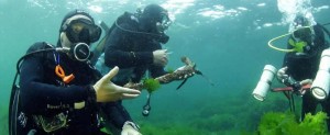 İstanbul’un kayıp adası olarak bilinen, tarihi Vordonisi’nin gün yüzüne çıkartılması