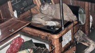 Dünya basınının büyük ilgisini çeken mumyalanmış ceset üzerinde otopsi yapan doktorlar, Bajorat’ın cesedinin bulunmasından sadece 7 gün önce kalp krizi geçirerek hayata veda ettiğini tespit ettiklerini belirtti. Filipinler açıklarında sürüklenen bir teknede cesedi doğa koşullarının etkisiyle mumyalanmış bir şekilde bulunan […]