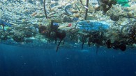 , Dünya Ekonomik Forumu’nun yaptığı uyarıya göre, 34 yıl sonra okyanuslardaki plastik atık ağırlığı balıkların toplam ağırlığından fazla olacak. Plastik, ucuz ve kullanışlı olması nedeniyle dünyanın en popüler ve en yaygın kullanılan materyali. Son 50 yılda plastik kullanımı 20 katına […]