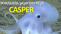 Türkiye’nin önemli koruma alanları arasında yer alan Datça ve Bozburun yarımadalarında balıkçılık yapan kadınlar, güneşin doğuşuyla birlikte Ege’nin mavi sularına açılarak, kazandıkları parayla aile bütçelerine katkı sağlıyorlar. Ege Bölgesi’nde balıkçılık yapan kadınlar, güneşin doğuşuyla birlikte Ege’nin mavi sularına açılarak, kazandıkları […]