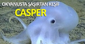 Türkiye’nin önemli koruma alanları arasında yer alan Datça ve Bozburun